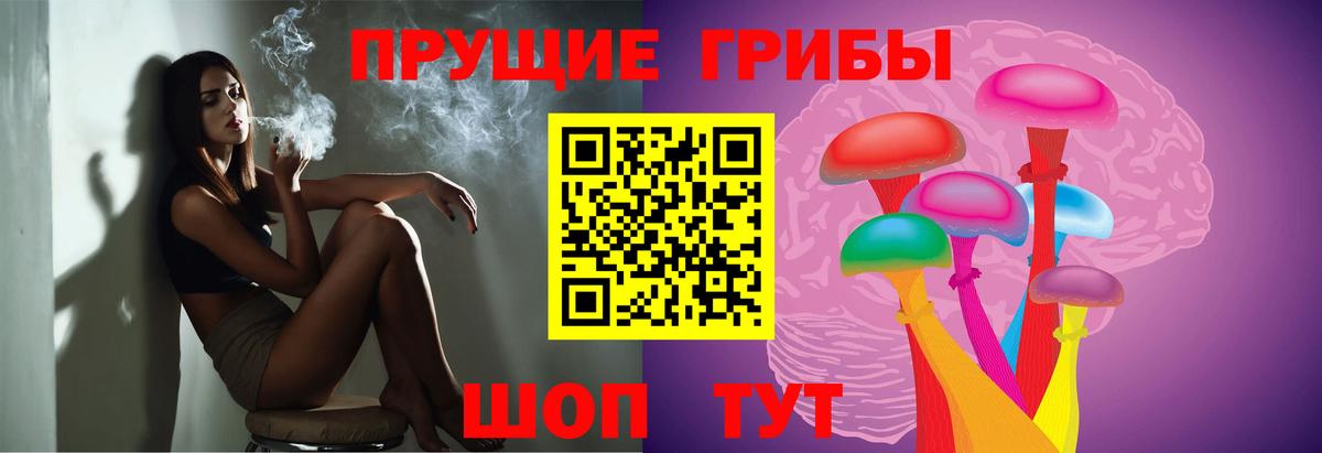 Гуково  Галлюциногенные грибы Psilocybe  Вход с VPN 