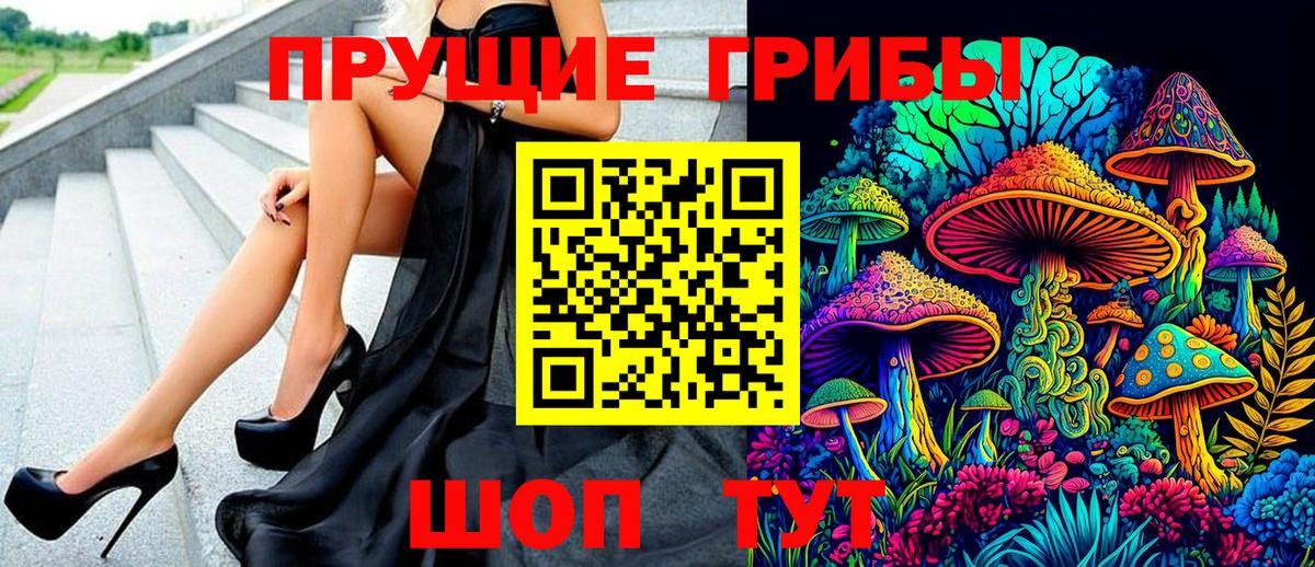 Псилоцибиновые грибы Cubensis Гуково