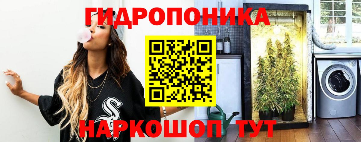 Шишки марихуана конопля  Вход с VPN  Бошки Шишки марихуана  Гуково  Конопля AK-47 